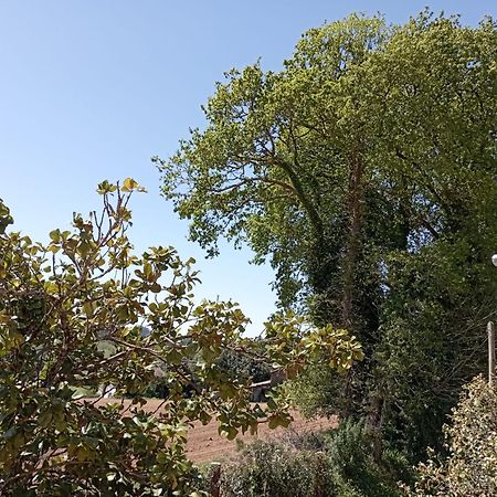 A Casa Do San Paio De Buscas Apartment Ordes ภายนอก รูปภาพ