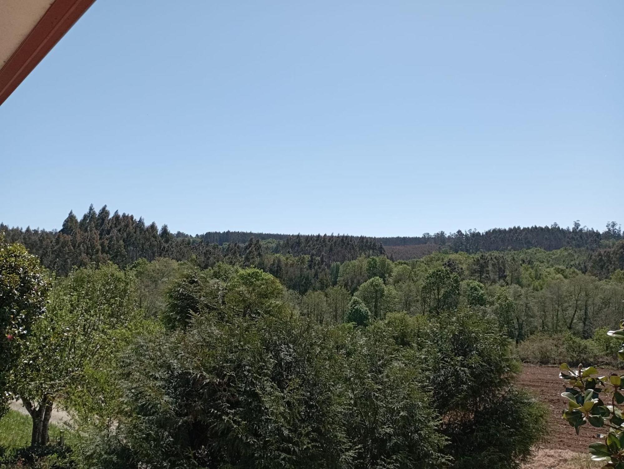 A Casa Do San Paio De Buscas Apartment Ordes ภายนอก รูปภาพ