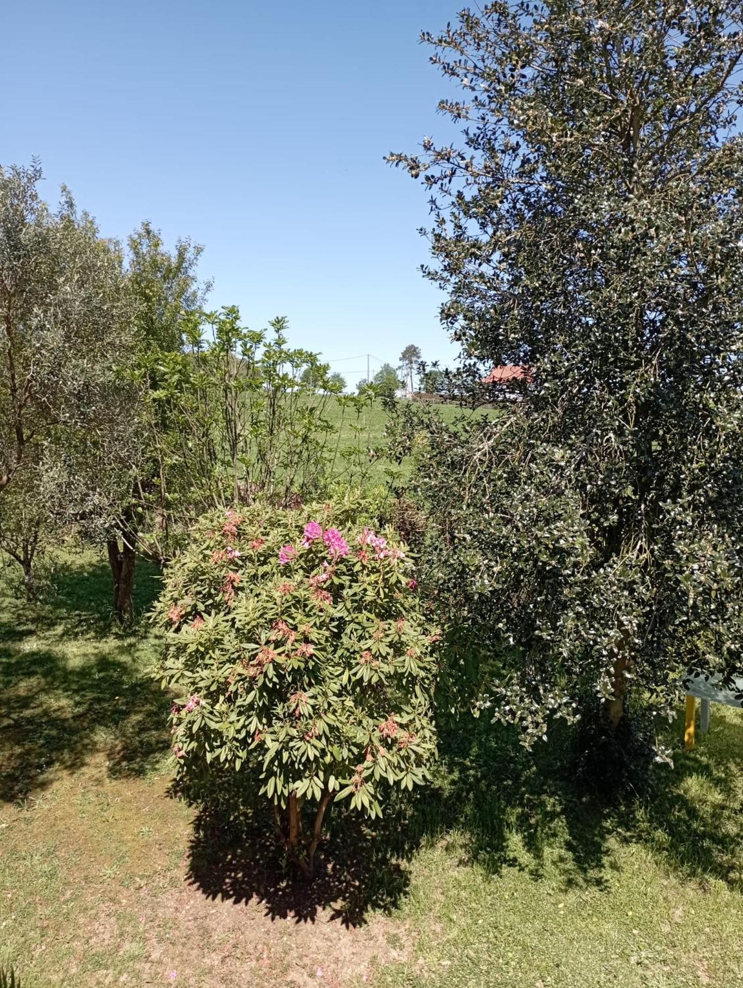 A Casa Do San Paio De Buscas Apartment Ordes ภายนอก รูปภาพ