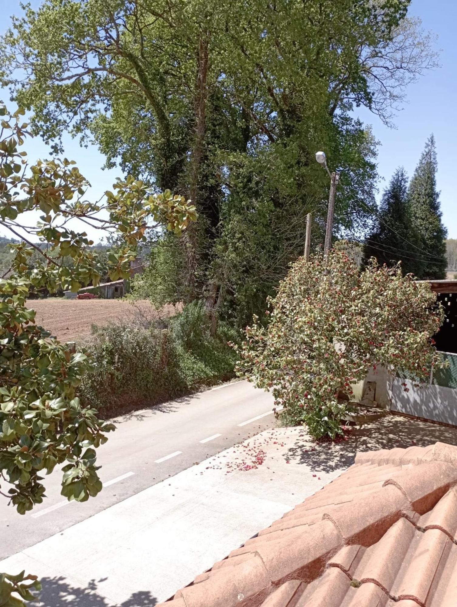 A Casa Do San Paio De Buscas Apartment Ordes ภายนอก รูปภาพ