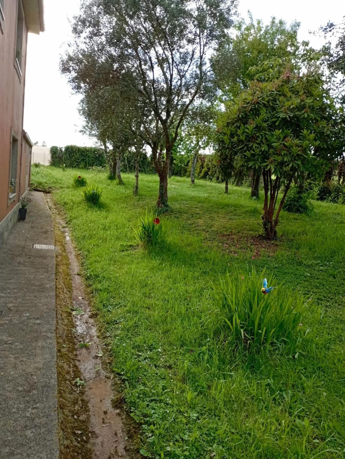 A Casa Do San Paio De Buscas Apartment Ordes ภายนอก รูปภาพ