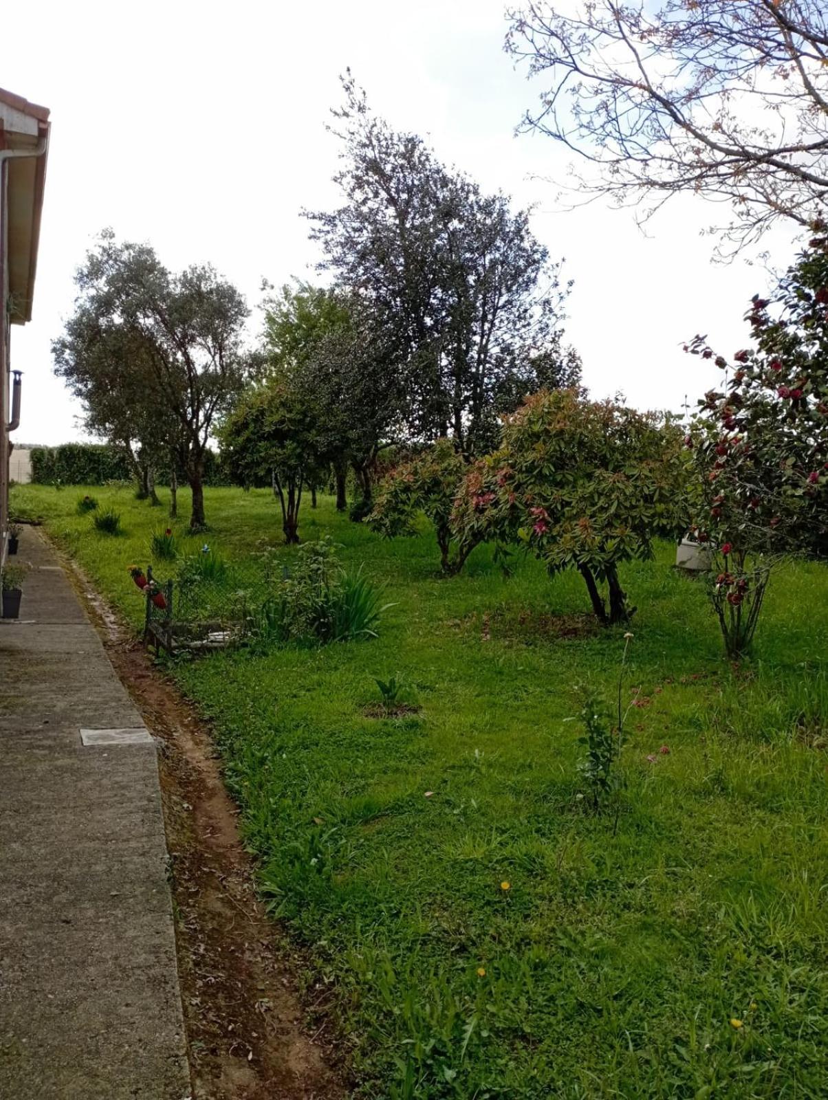 A Casa Do San Paio De Buscas Apartment Ordes ภายนอก รูปภาพ