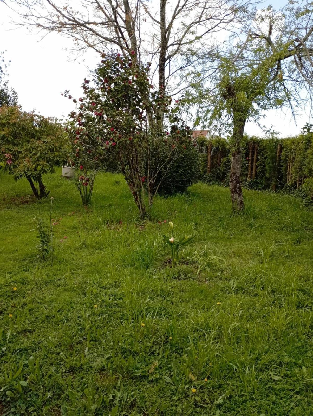 A Casa Do San Paio De Buscas Apartment Ordes ภายนอก รูปภาพ