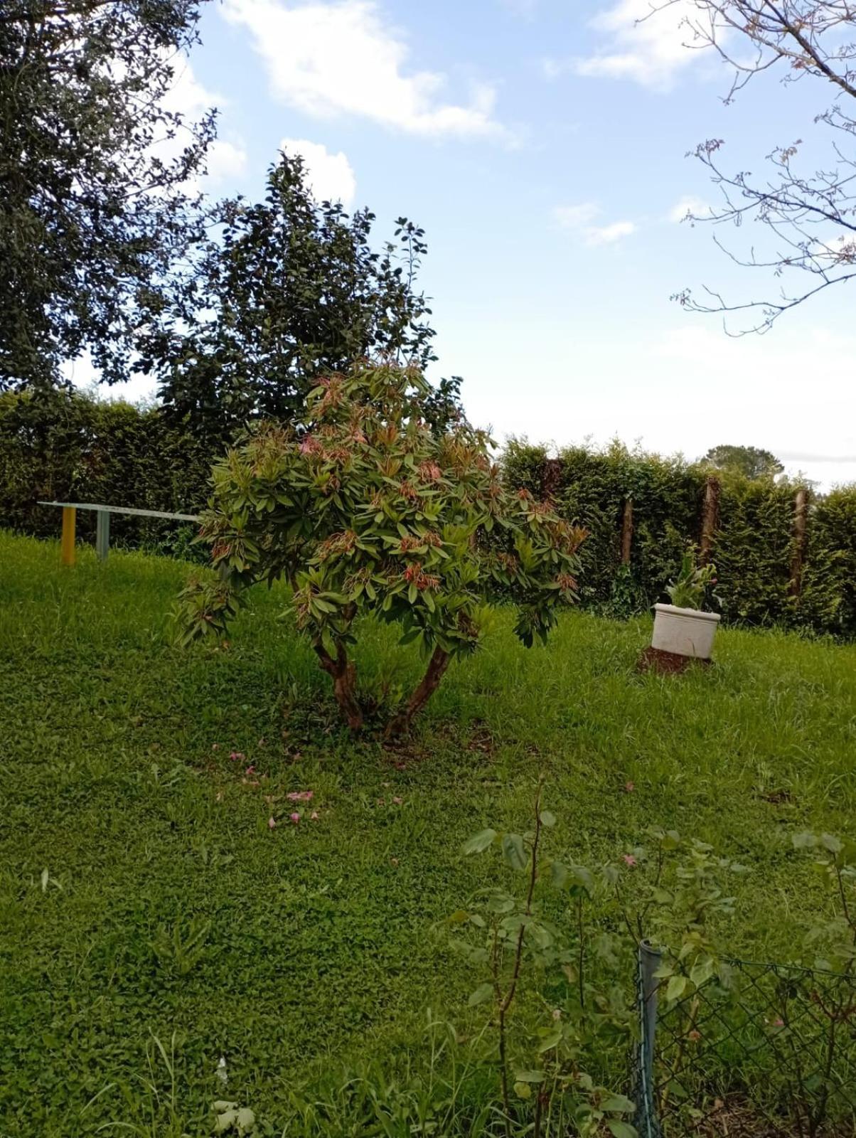 A Casa Do San Paio De Buscas Apartment Ordes ภายนอก รูปภาพ